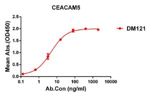 Anti-CEACAM5 antibody