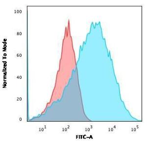 Flow cytometric analysis of HEK293 cells using Anti-NF-L Antibody [NFL/736] followed by Goat Anti-Mouse IgG (CF&#174; 488) (Blue). Isotype Control (Red).