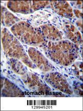 Anti-OTOP1 Rabbit Polyclonal Antibody (Biotin)