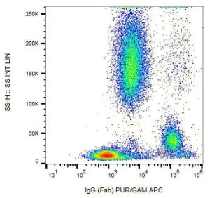 Surface staining of human peripheral blood cells with Anti-IgG (Fab Fragment) Antibody (A86804)