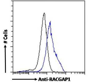 Anti-RACGAP1 Antibody (A83070) Flow cytometric analysis of paraformaldehyde fixed MCF7 cells (blue line), permeabilized with 0.5% Triton. Primary incubation 1hr (10µg/ml) followed by Alexa Fluor 488 secondary antibody (4µg/ml).