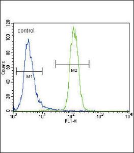 Anti-UGT2B15 Rabbit Polyclonal Antibody (APC (Allophycocyanin))