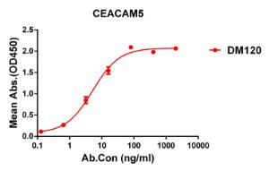 Antibody A318587-500