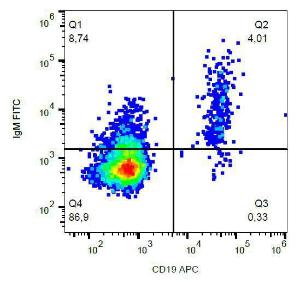 Surface staining of human peripheral blood cells with Anti-IgM Antibody (A86809)