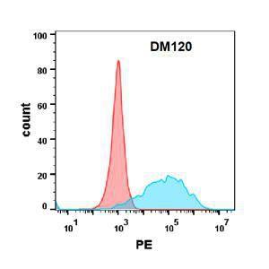 Antibody A318587-500