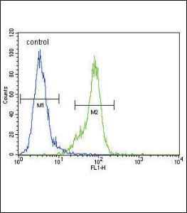 Anti-DNMT1 Rabbit Polyclonal Antibody (AP (Alkaline Phosphatase))