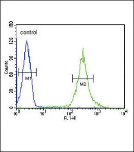 Anti-ST8SIA4 Rabbit Polyclonal Antibody (AP (Alkaline Phosphatase))