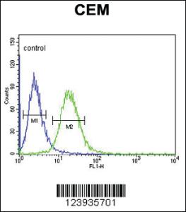 Anti-ISWI Rabbit Polyclonal Antibody