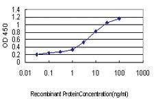 Anti-RNF14 Mouse Monoclonal Antibody [clone: 4G9]