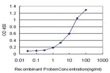 Anti-BLK Mouse Monoclonal Antibody [clone: 3E5-3A8]