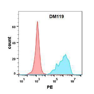 Flow cytometry analysis with Anti-CD7 Antibody [DM119] - Azide free (A318588) on Expi293 cells transfected with human CD7 (blue histogram) or Expi293 transfected with irrelevant protein (red histogram)