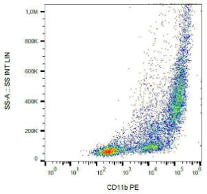 Surface staining of PMA-activated human peripheral blood cells with Anti-CD11b Antibody (A86822)