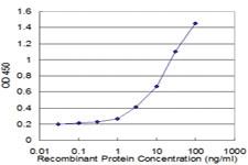 Anti-SOCS3 Mouse Monoclonal Antibody [clone: 2E5]