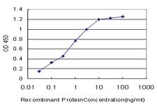 Anti-BLK Mouse Monoclonal Antibody [clone: 7A12]