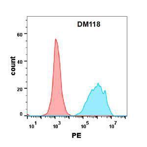 Anti-CD7 Rabbit Recombinant Antibody [clone: DM118]