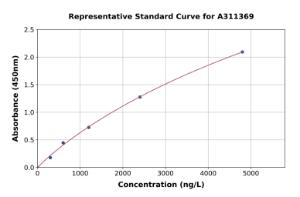 Representative standard curve for Mouse Wnt8a ELISA kit (A311369)