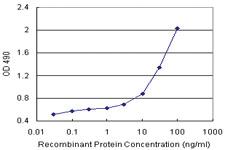 Anti-NQO2 Polyclonal Antibody Pair