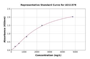 Representative standard curve for Human GGCT ELISA kit (A311379)