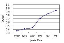 Anti-CLEC2D Antibody Pair