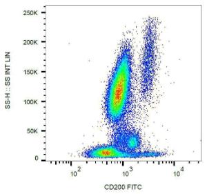 Antibody anti-CD200 OX-104 FITC