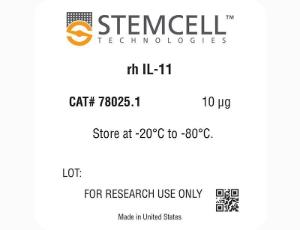 Human recombinant IL-11