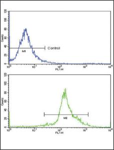 Anti-PPIA Rabbit Polyclonal Antibody