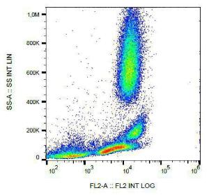 Anti-CD222 Mouse Monoclonal Antibody [Clone: MEM-240] (PE (Phycoerythrin))