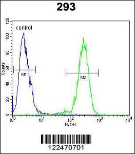 Anti-MAN2A1 Rabbit Polyclonal Antibody