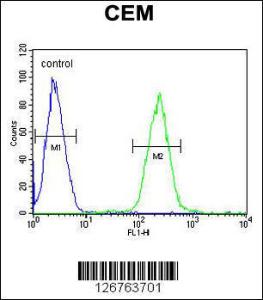 Anti-STAMBPL1 Rabbit Polyclonal Antibody (AP (Alkaline Phosphatase))