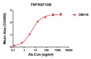 ELISA plate pre-coated by 2 µg/ml (100 µl/well) Recombinant Human DR5 Protein (Fc Tag) (A318261) can bind Anti-DR5 Antibody [DM115] - Azide free (A318592) in a linear range of 0.2-70 µg/ml