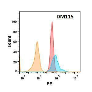 TNFRSF10B protein is highly expressed on the surface of Expi293 cell membrane