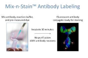 Antibody labelling kits, Mix-n-Stain™ Biotin