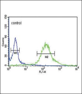 Anti-GTSE1 Rabbit Polyclonal Antibody (APC (Allophycocyanin))