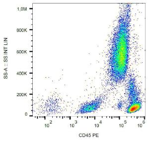 Surface staining of CD45 in human peripheral blood with Anti-CD45 Antibody (A86850)