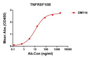 ELISA plate pre-coated by 2 µg/ml (100 µl/well) Recombinant Human DR5 Protein (Fc Tag) (A318261) can bind Anti-DR5 Antibody [DM114] - Azide free (A318593) in a linear range of 0.6-90 µg/ml