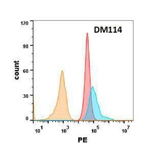 TNFRSF10B protein is highly expressed on the surface of Expi293 cell membran