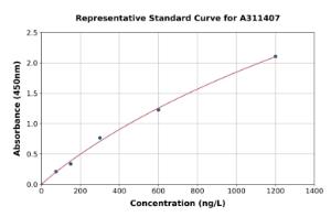 Representative standard curve for Human SA2 ELISA kit (A311407)