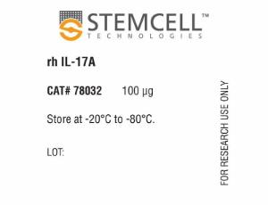 Human recombinant IL-17A