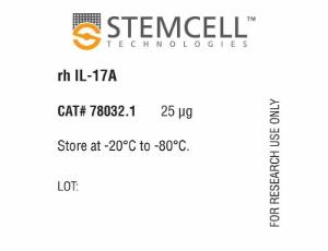 Human recombinant IL-17A