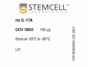 Mouse recombinant IL-17A