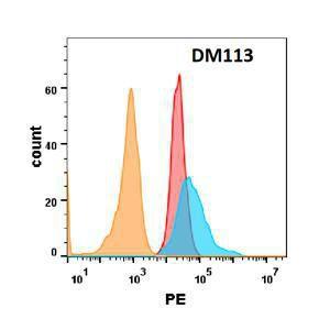 TNFRSF10B protein is highly expressed on the surface of Expi293 cell membran