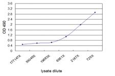 Anti-ACTA2 Mouse Monoclonal Antibody (Biotin)