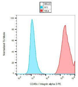 Surface staining of HeLa cells with Anti-CD49c Antibody (A86855)