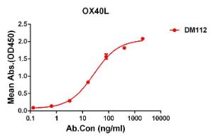 ELISA plate pre-coated by 2 µg/ml (100 µl/well) Recombinant Human OX40L/TNFSF4 Protein (Fc Tag & 6×His Tag) (A318387) can bind Anti-OX40L/TNFSF4 Antibody [DM112] - Azide free (A318595) in a linear range of 0.2-90 µg/ml