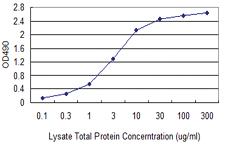 Anti-ACTA2 Mouse Monoclonal Antibody (Biotin)