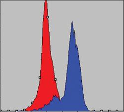 Anti-COX4I1 Mouse Monoclonal Antibody [clone: 6B3]