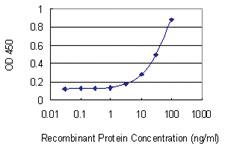 Anti-GDA Mouse Monoclonal Antibody [clone: 1D5]