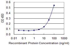 Anti-BLVRA Mouse Monoclonal Antibody [clone: S2]