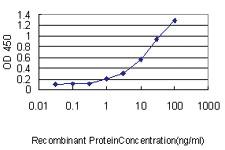 Anti-GNA13 Mouse Monoclonal Antibody [clone: 6F6-B5]