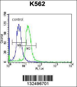 Anti-STARD5 Rabbit Polyclonal Antibody (FITC (Fluorescein Isothiocyanate))